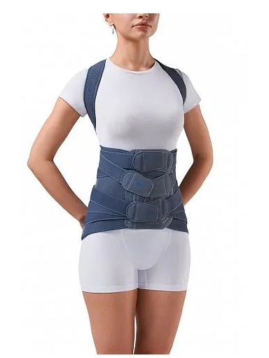 Корректор осанки TLSO-361(F) Orlett, умеренная фиксация купить в OrtoMir24